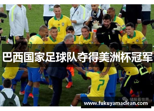 巴西国家足球队夺得美洲杯冠军